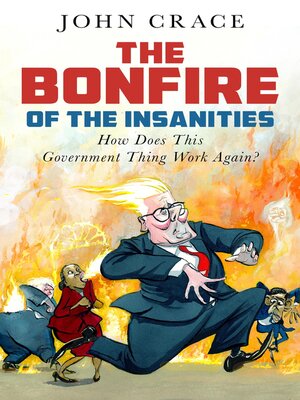 cover image of The Bonfire of the Insanities